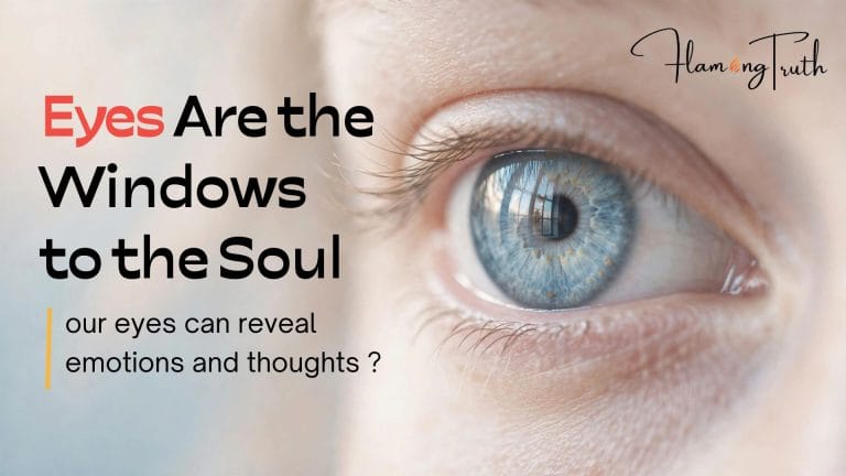 windows-are-window-to-the-soul