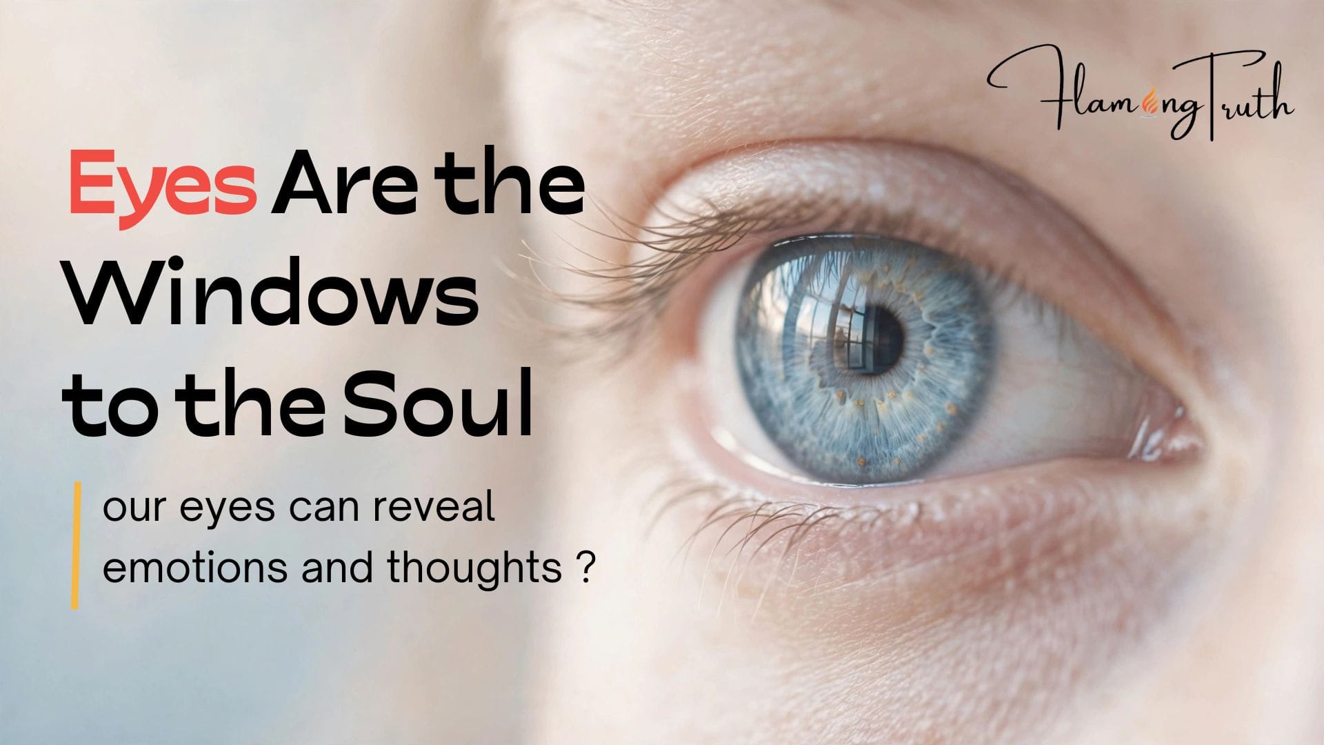 windows-are-window-to-the-soul