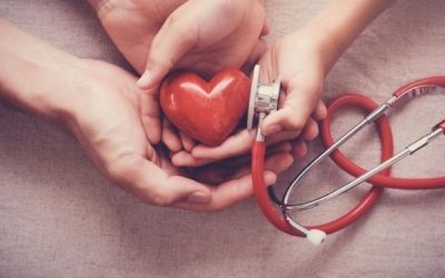 Cardiovascular Fitness: What Does It Mean