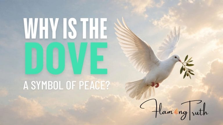 Why Is the Dove a Symbol of Peace