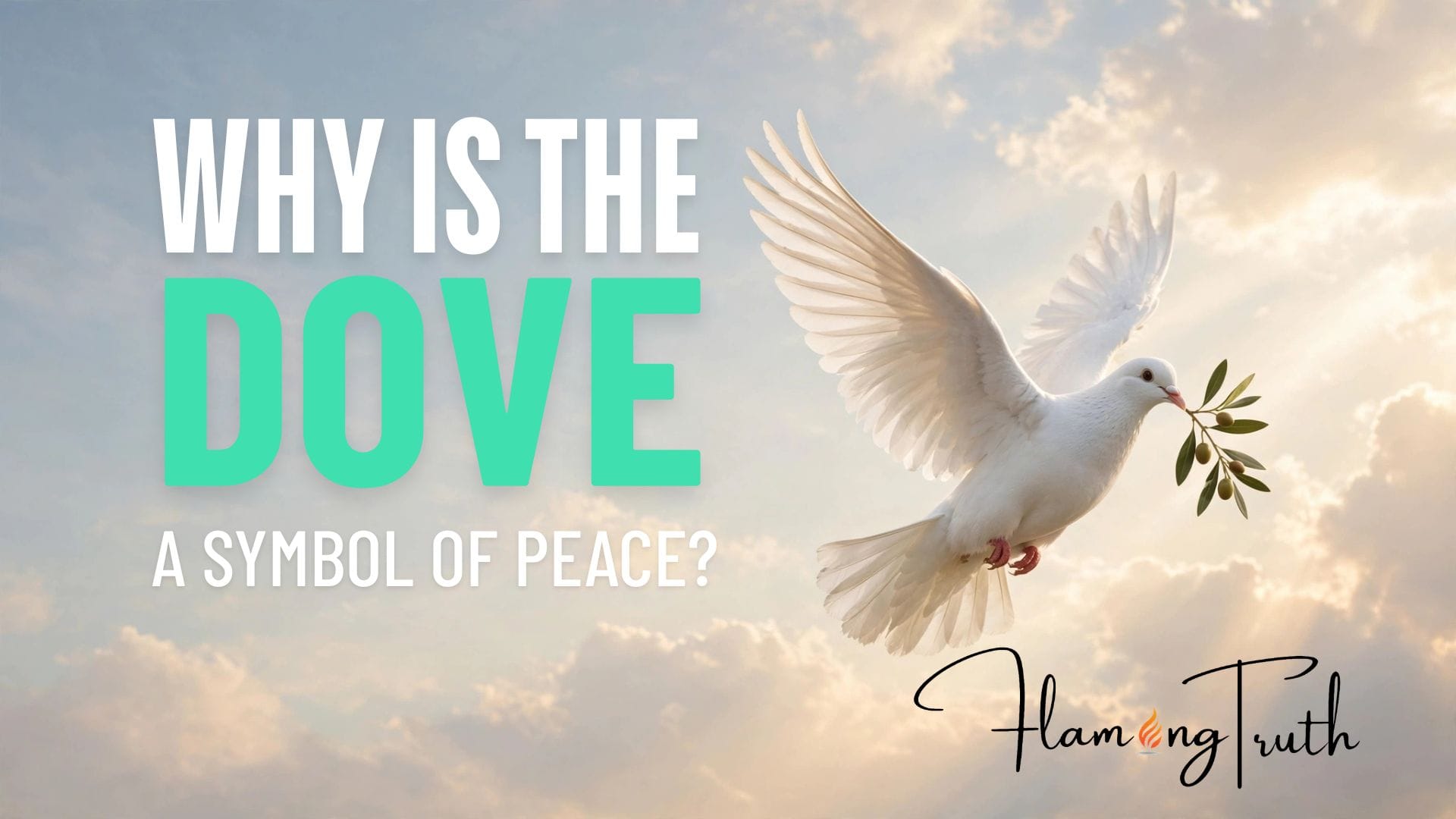 Why Is the Dove a Symbol of Peace