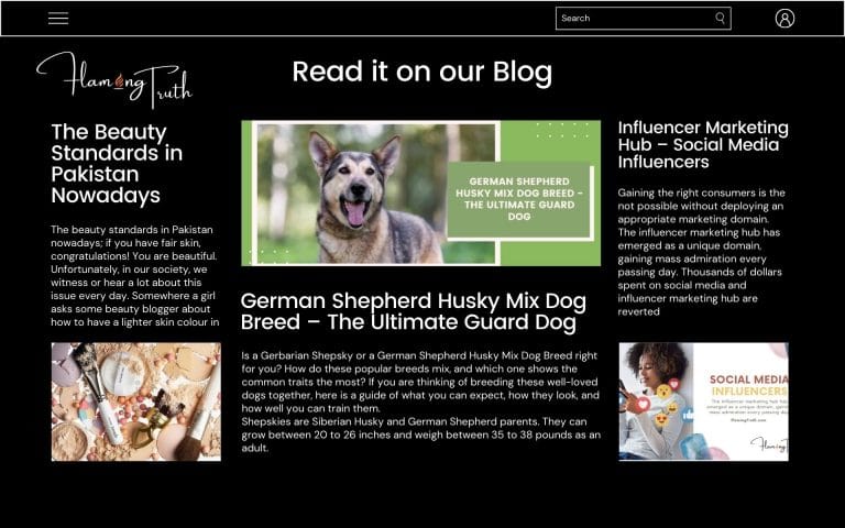 How can you earn revenue from a blog?