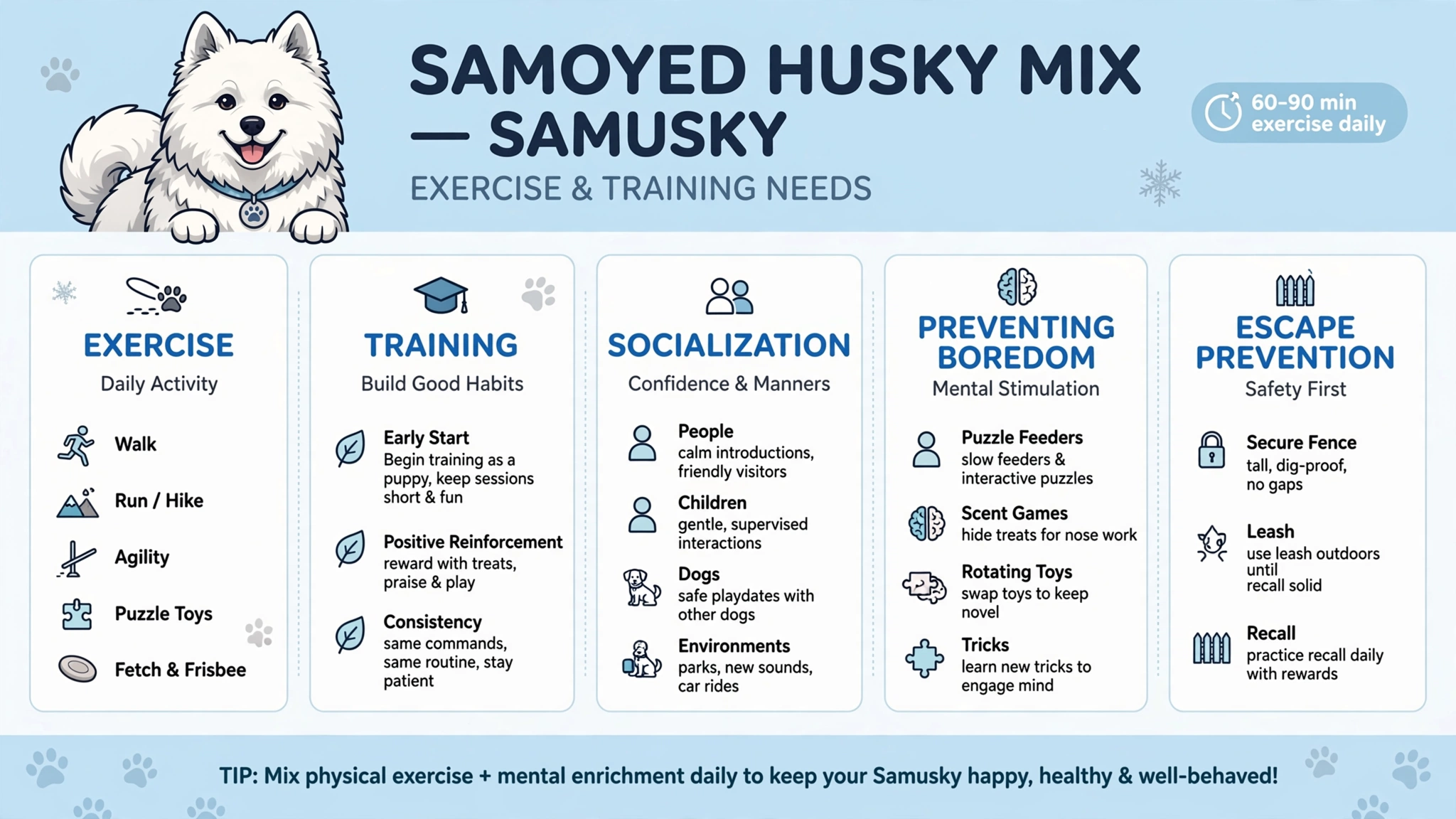 samusky_exercise_training_infographic_ samusky_exercise_training_infographic